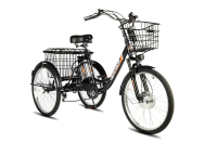 Электрический трицикл РВЗ ЧЕМПИОН 2024