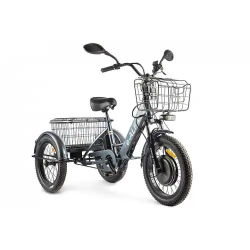 Трицикл GREEN CITY e-ALFA Trike