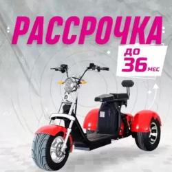 Трицикл CITYCOCO (SMD 302) NEW+ПОДАРОК