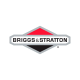 Briggs & Stratton