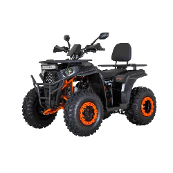 Квадроцикл Minsk Dzik 200