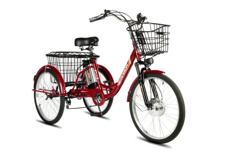 Электрический трицикл РВЗ ЧЕМПИОН 2024