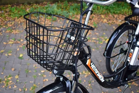 Электрический трицикл РВЗ ЧЕМПИОН 2024