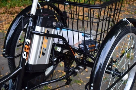 Электрический трицикл РВЗ ЧЕМПИОН 2024