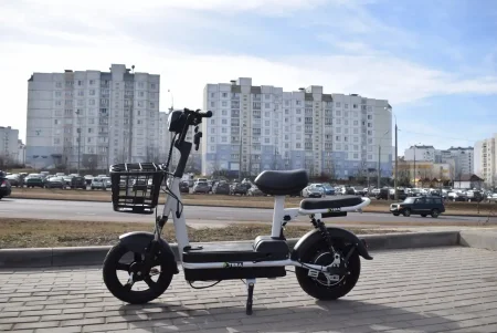 Электроскутер Terax REX