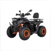 Квадроцикл Minsk Dzik 200