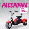 Трицикл CITYCOCO (SMD 302) NEW+ПОДАРОК