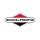 Briggs & Stratton