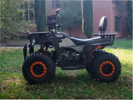Квадроцикл Minsk Dzik 200
