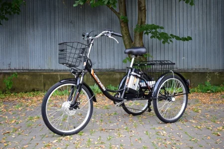 Электрический трицикл РВЗ ЧЕМПИОН 2024