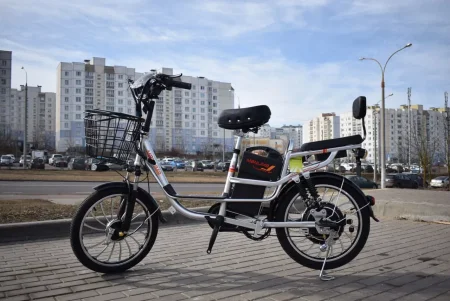 Электровелосипед Terax Dino NS004