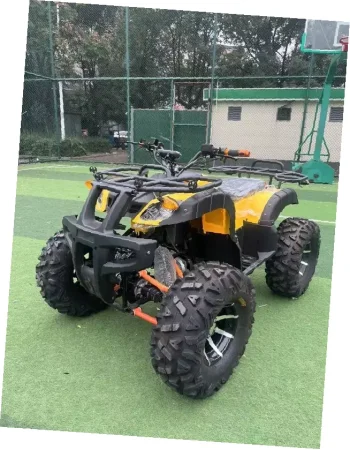 Электроквадроцикл Storm Grand 4x4