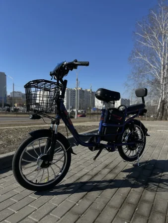 Электровелосипед Terax Dino NS004