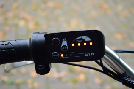 Электрический трицикл РВЗ ЧЕМПИОН 2024