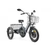 Трицикл GREEN CITY e-ALFA Trike