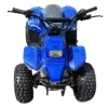 Квадроцикл детский Storm Robo 110 одна передача