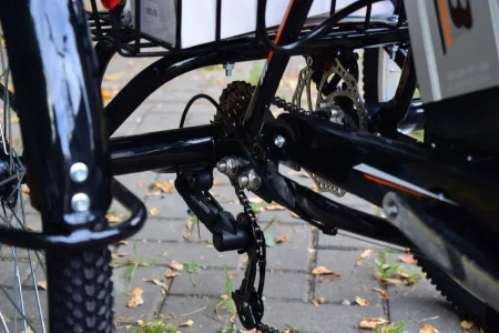 Электрический трицикл РВЗ ЧЕМПИОН 2024