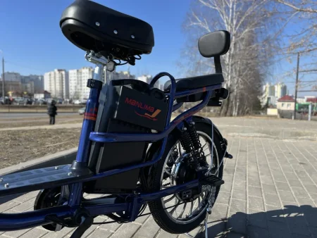 Электровелосипед Terax Dino NS004