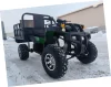 Квадроцикл грузовой ATV Storm Panther