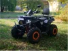 Квадроцикл Minsk Dzik 200