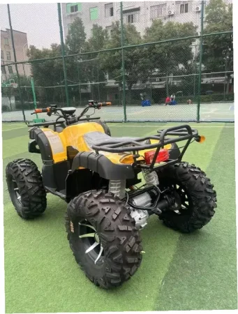 Электроквадроцикл Storm Grand 4x4