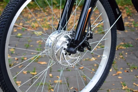 Электрический трицикл РВЗ ЧЕМПИОН 2024