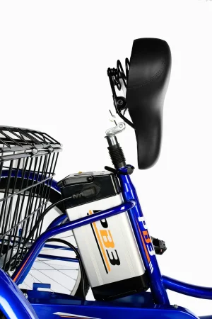 Электрический трицикл РВЗ ЧЕМПИОН 2024