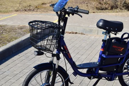 Электровелосипед Terax Dino NS004