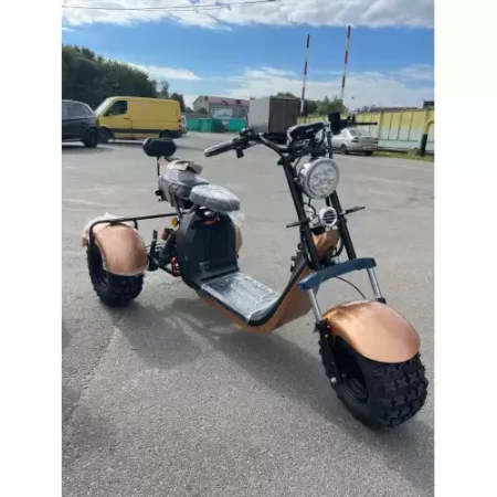 Трицикл CITYCOCO (SMD 302) NEW+ПОДАРОК
