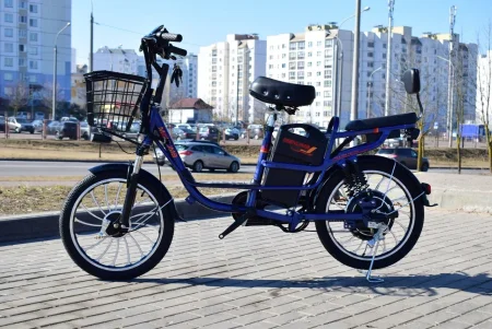 Электровелосипед Terax Dino NS004